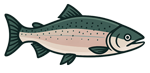 Floating Salmon